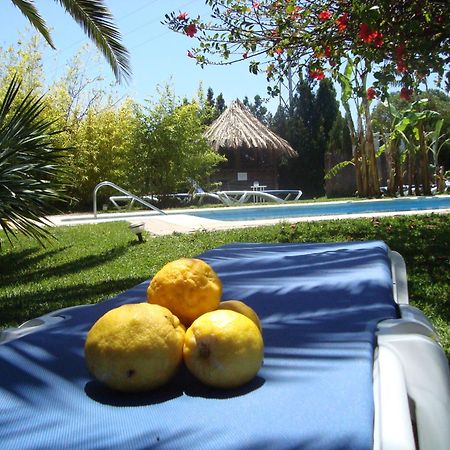 Bungalows Puravida Захора Екстериор снимка